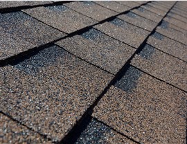 Roofing - Roof Types Photo 3