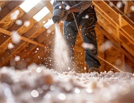 Attic Insulation Photo 63