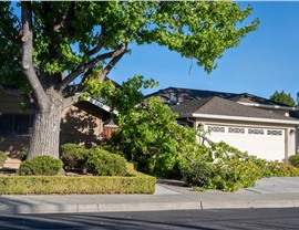 Storm Damage Photo 68