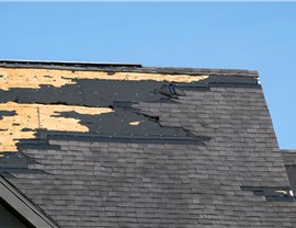 Storm Damage Photo 40