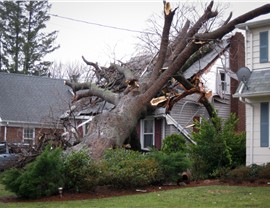 Storm Damage Photo 19