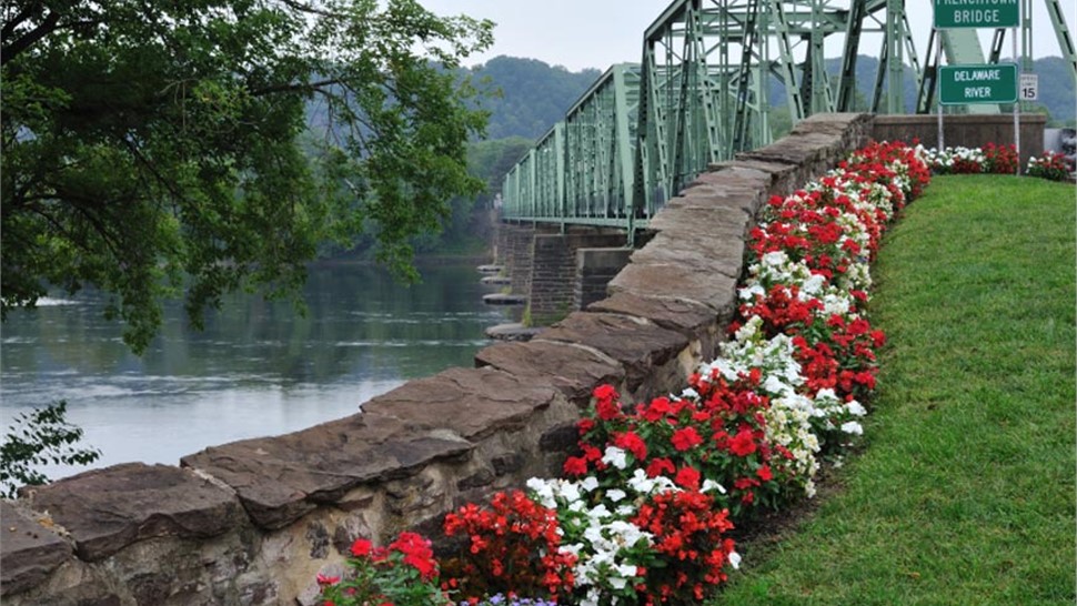 Orange Movers Photo 1