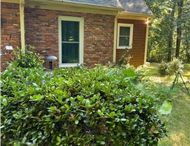 Replacement Windows Project in Mint Hill, NC by Joyce