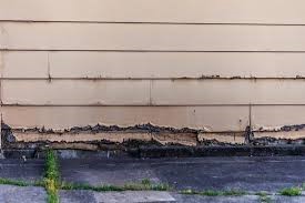 Should You Paint or Replace Your Siding?