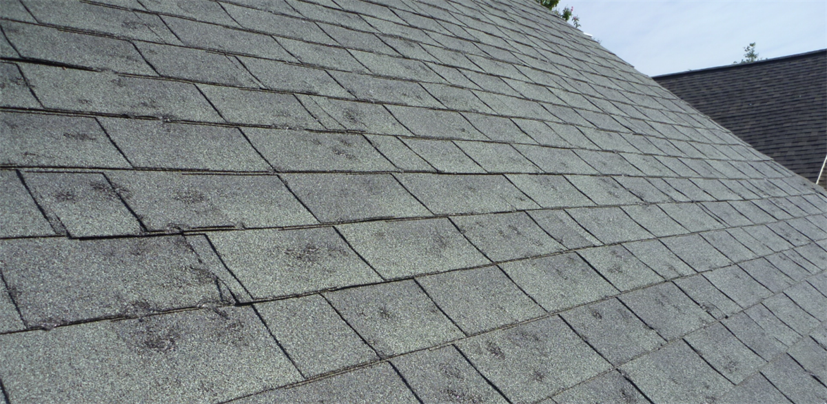 The Storm Leaves. The Contractor Might, Too.