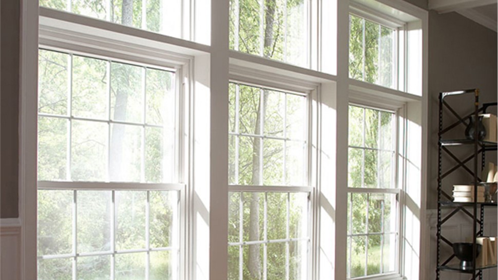 Windows - Window Styles Photo 84