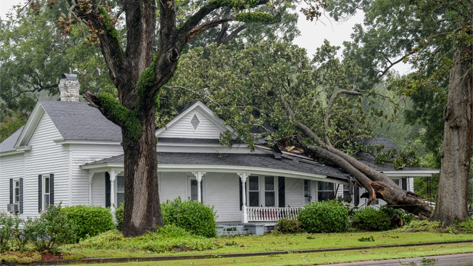 Storm Damage - Home Insurance Claims Photo 68