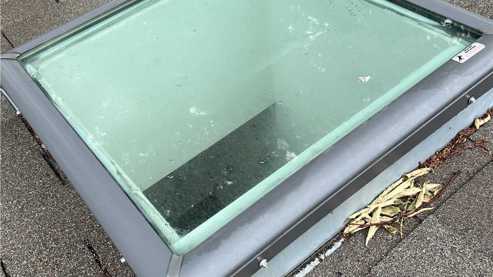 Storm Damage Photo 40