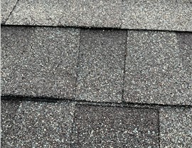 Roofing - Roof Types Photo 98