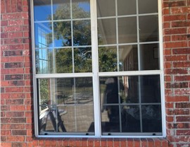 Windows - Window Replacement Photo 12