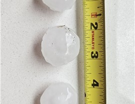 Storm Damage - Hail Damage Photo 14