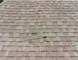 Storm Damage - Wind Damage Photo 58