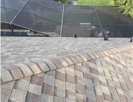 Winter Garden Photo 4