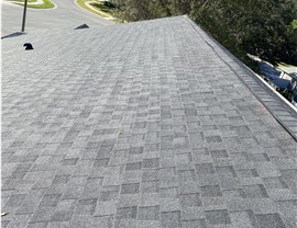 Winter Springs Photo 3