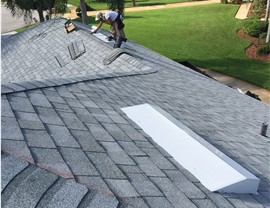 Winter Garden Photo 3