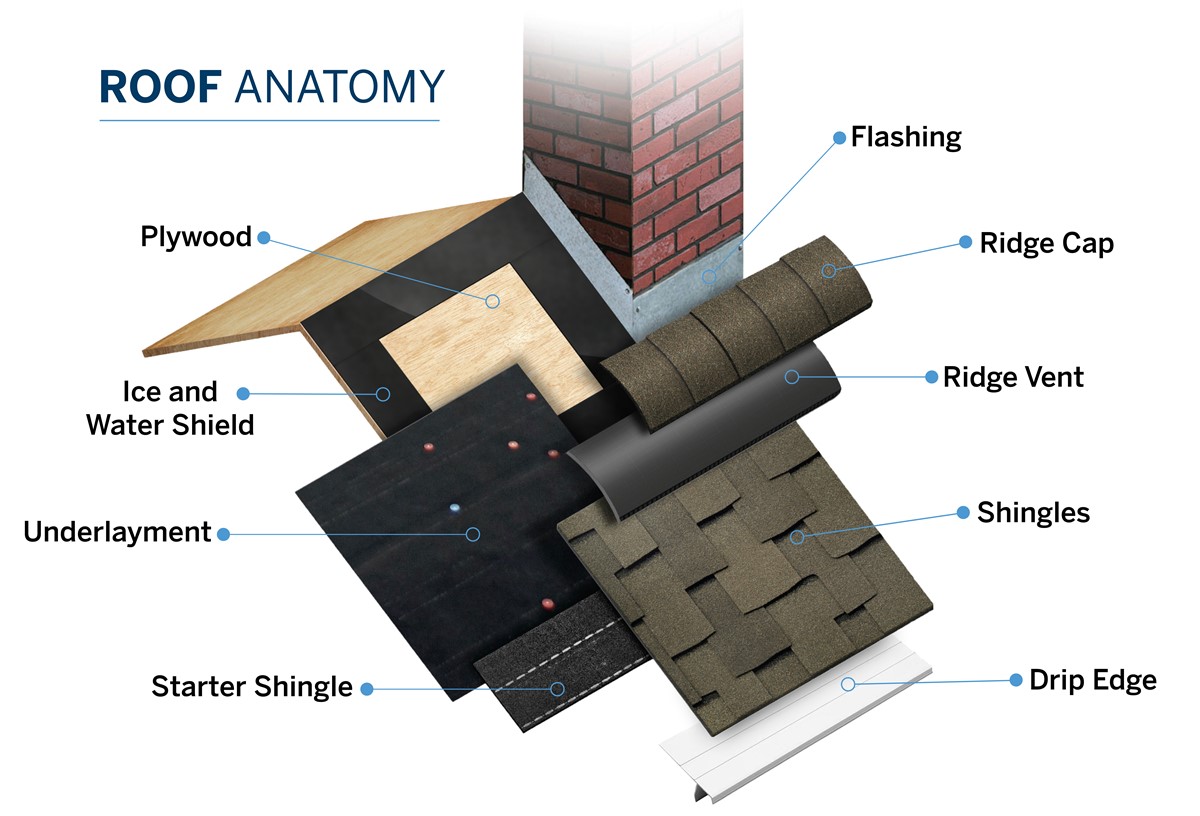 Roof anatomy is built to prolong the life of your roof. Read more to see how it all works!