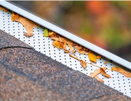 Gutter Guards Photo 3