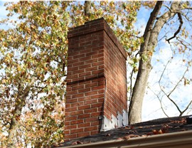 Chimney Protection & Repair Photo 4