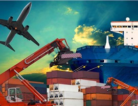 International Movers Photo 1