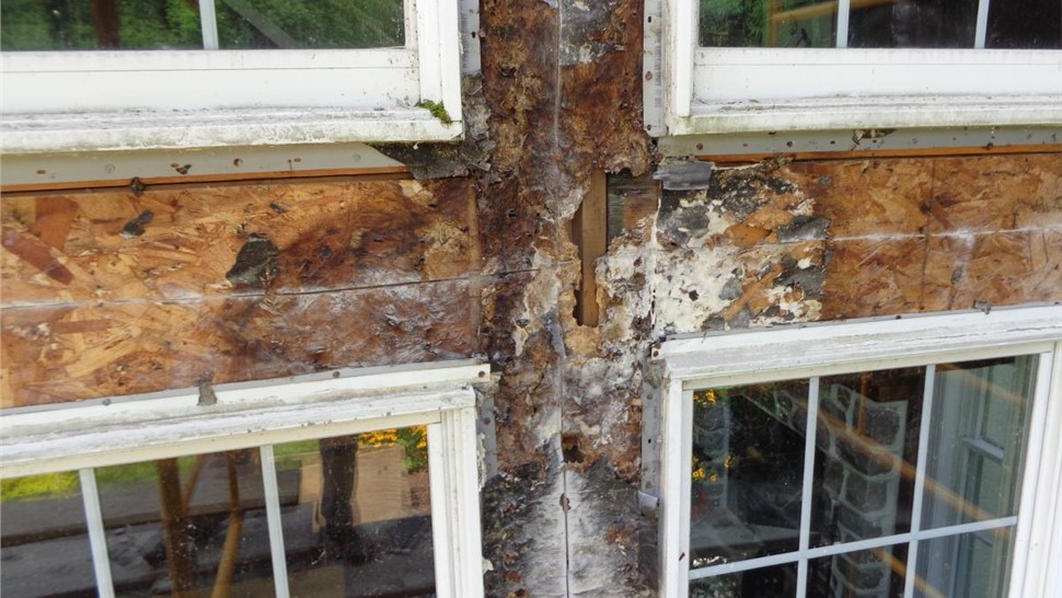 Window Leaks Photo 86