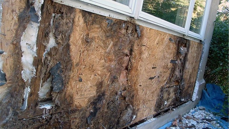 Window Leaks Photo 7