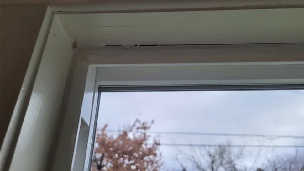 Window Leaks Photo 76