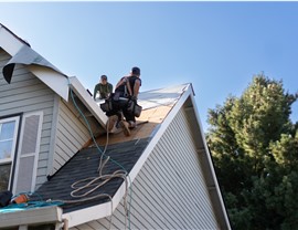 Asphalt Shingles Photo 2