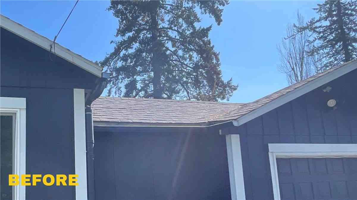 Before Image