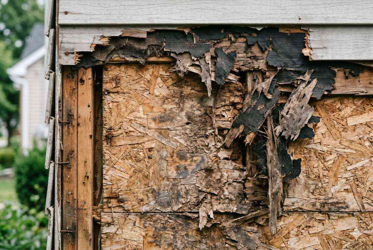 Dry Rot / Rotten Underlying Wood