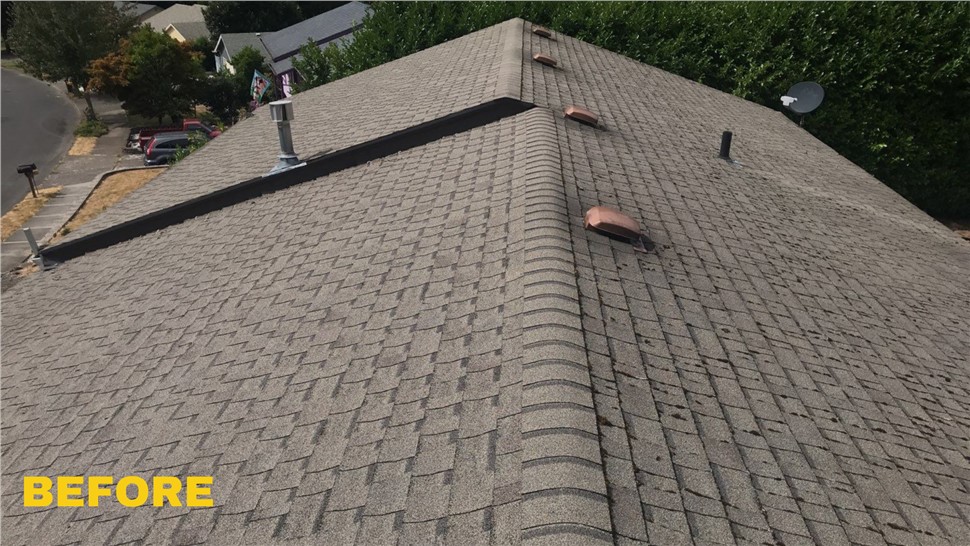 Doors, Gutters, Painting, Roofing, Siding, Windows Project in Sandy, Oregon by KVN Construction