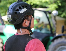 Antonio Brown Treehouse: Week 13 Photo 3