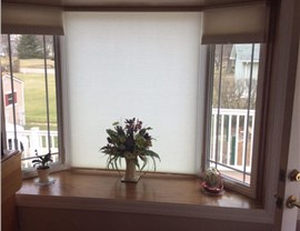 Legacy Jobs - Windows Photo 24