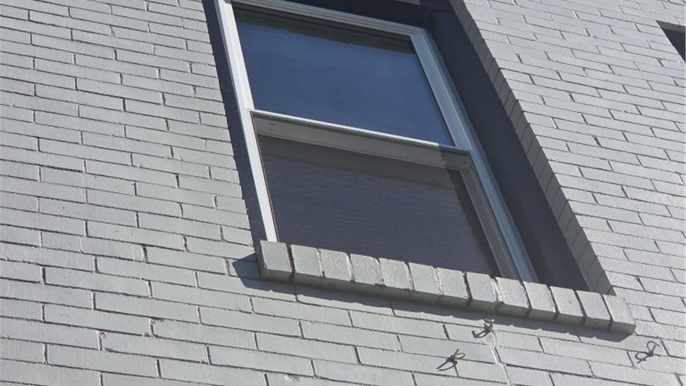 Windows Project in Pittsburgh, PA by Legacy Remodeling