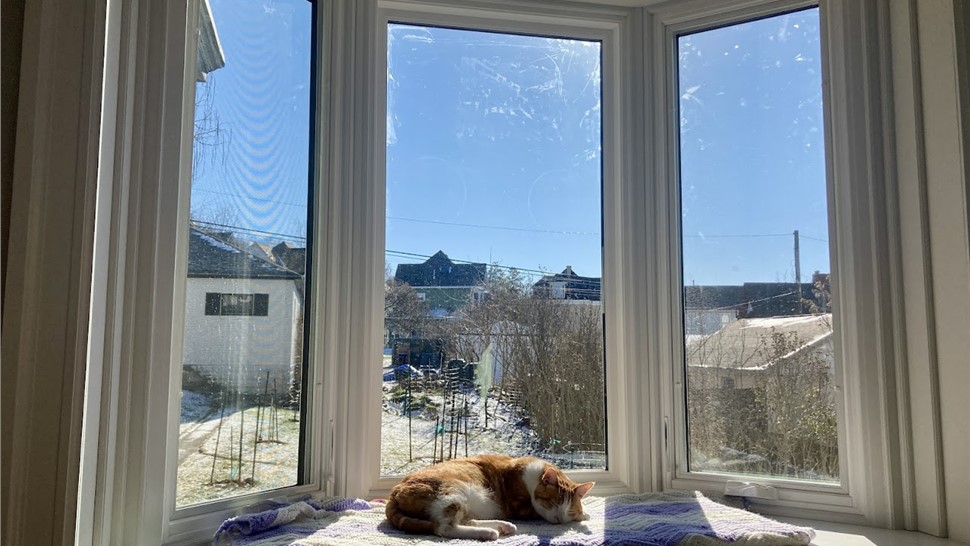 Windows Project in Pittsburgh, PA by Legacy Remodeling