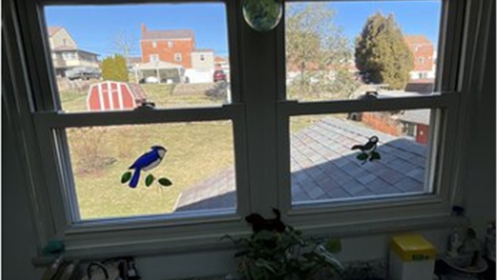 Windows Project in Pittsburgh, PA by Legacy Remodeling