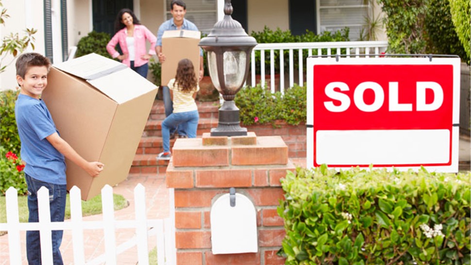 Holden Movers Photo 1