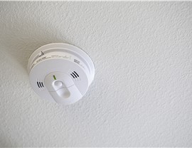 Smoke Detectors and Carbon Monoxide Alarms Photo 8