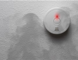 Smoke Detectors and Carbon Monoxide Alarms Photo 69