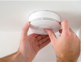 Smoke Detectors and Carbon Monoxide Alarms Photo 95