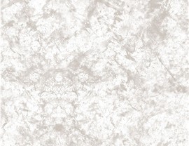 Premium Shower Base Colors Photo 4