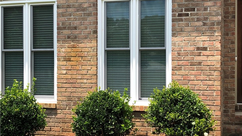 Replacement Windows Photo 4