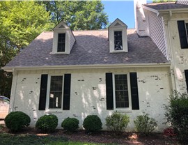 Replacement Windows Photo 6