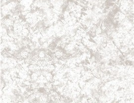 Colors and Patterns Photo 73