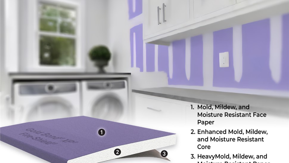 Forever Wall Photo 19