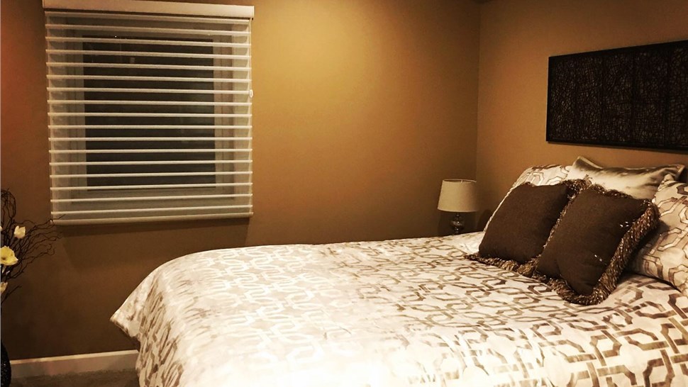Basement Finishing
