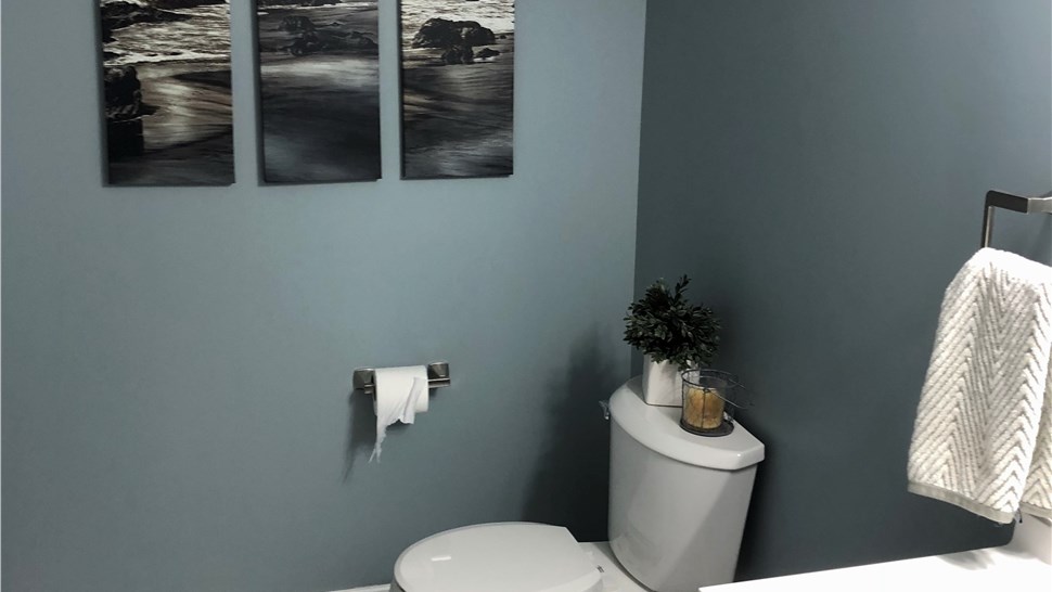 Basement Finishing