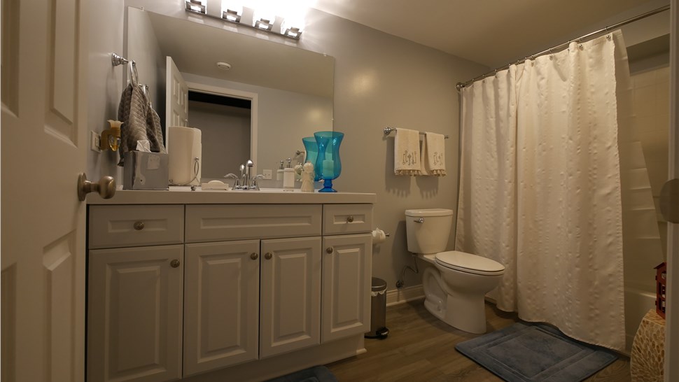 Basement Finishing