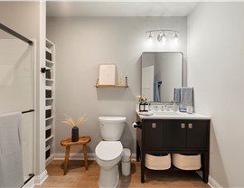 Kalamazoo Basement Bathroom