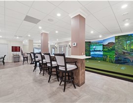 Basement Golf Simulations Photo 4