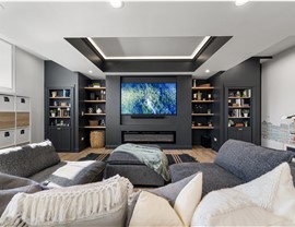 Basement Family Rooms Photo 2